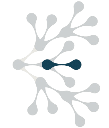 parties du logo de lafit